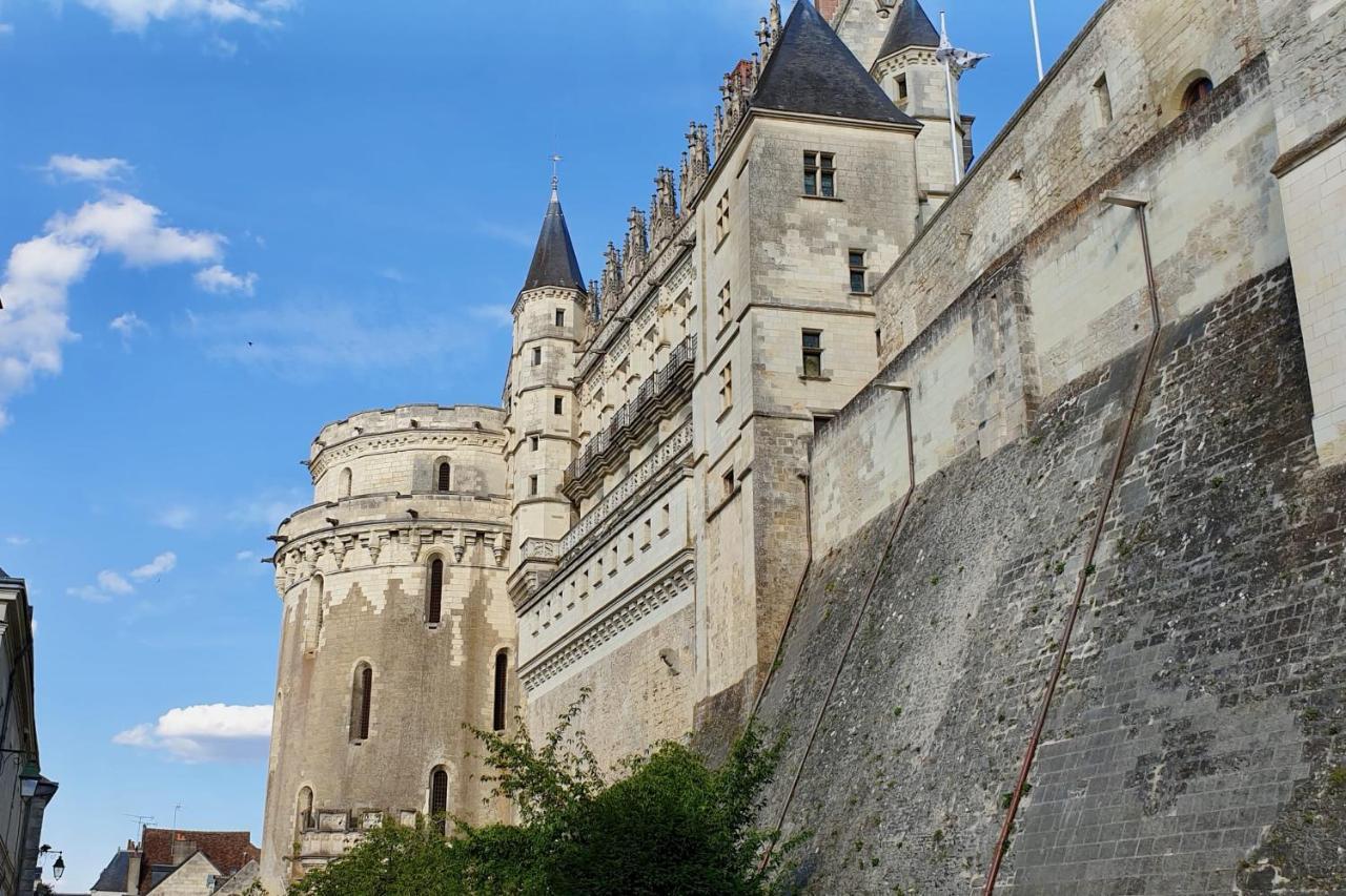 Splendid Apartment At The Foot Of The Castle Of Amboise - View Of The Loir Exterior foto