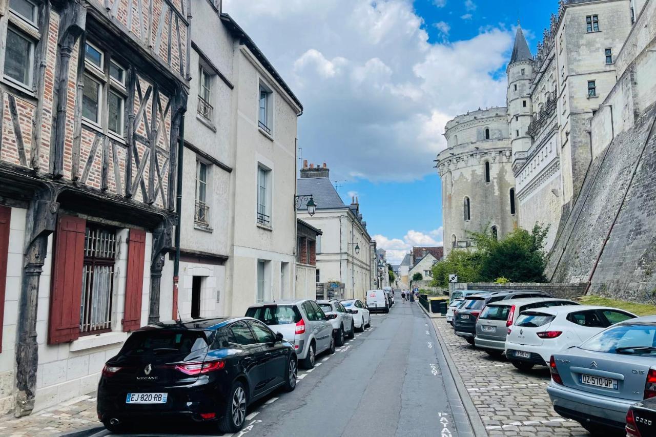 Splendid Apartment At The Foot Of The Castle Of Amboise - View Of The Loir Exterior foto